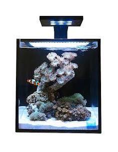Kit Premium Acuario Fusion Nano 10