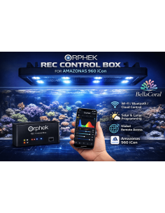 ORPHEK, REC. CONTROL BOX FOR AMAZONAS 960 iCon