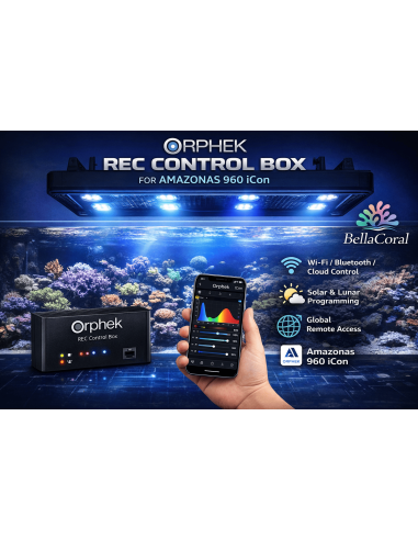 ORPHEK, REC. CONTROL BOX FOR AMAZONAS 960 iCon