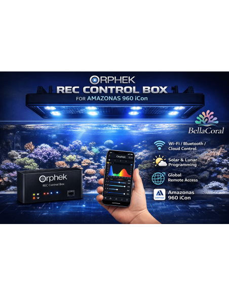 ORPHEK, REC. CONTROL BOX FOR AMAZONAS 960 iCon