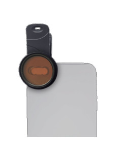 D-D, CORAL COLOUR LENS (XL)