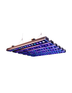 ORPHEK, OR4 60 REEF DAY PLUS - NUEVA -