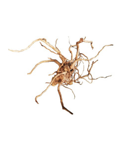 BONSAQUA, SPIDER WOOD "XL" (Precio kg.)