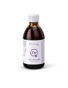AF, CA PLUS Lab 1L.