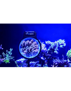 MAXSPECT, PASTEL REEF MAGNIFIER L