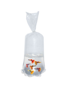 Pack de bolsas con esquinas redondas