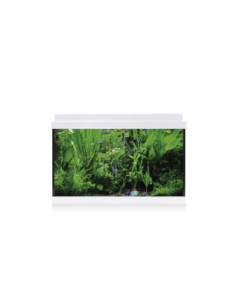Kit AQUA LED 33 blanco
