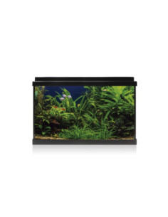 Kit AQUA LED 64 negro