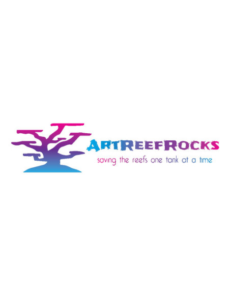 Art reef rocks