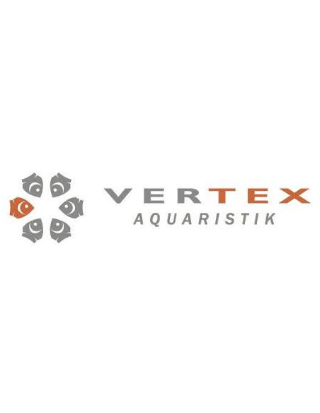 Vertex