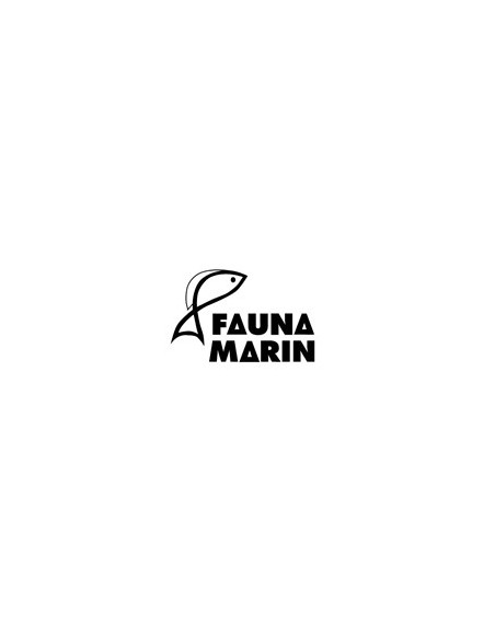 Fauna marin