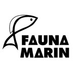 Fauna marin