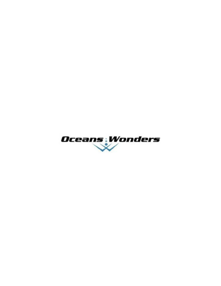 Ocean wonders