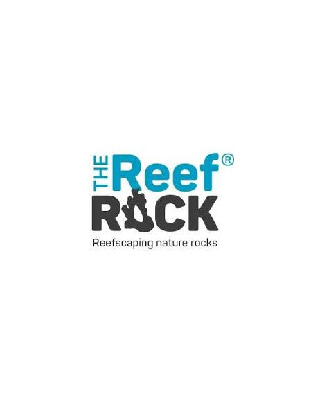 The reef rock